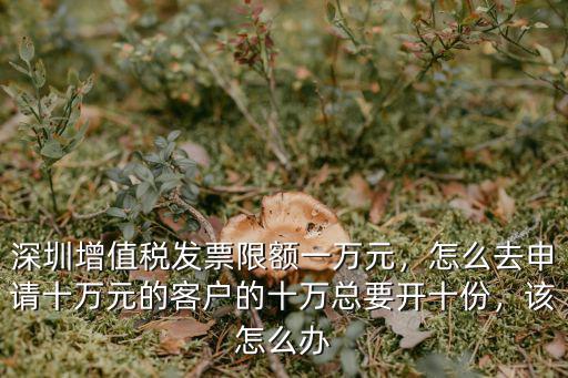 深圳企業稅票怎么買,深圳增值稅發票限額一萬元