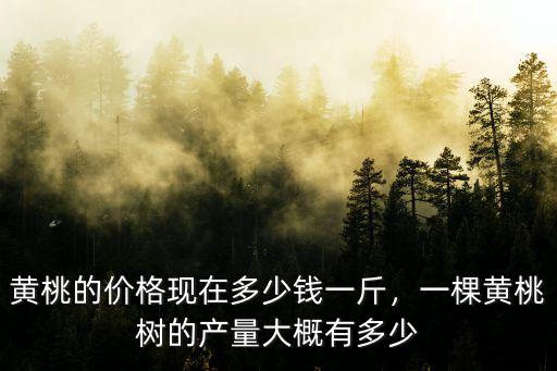 黃桃的價格現在多少錢一斤，一棵黃桃樹的產量大概有多少