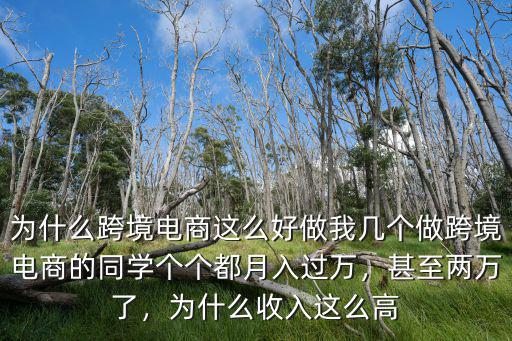 為什么跨境電商這么好做我幾個做跨境電商的同學個個都月入過萬，甚至兩萬了，為什么收入這么高