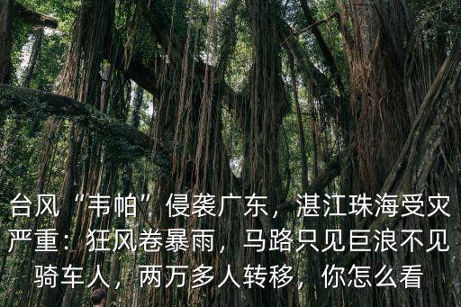 廣東臺(tái)風(fēng)人怎么死的,臺(tái)風(fēng)山竹造成廣東2死