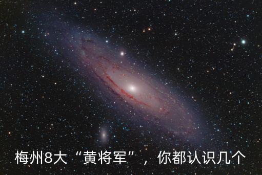 梅州8大“黃將軍”，你都認識幾個