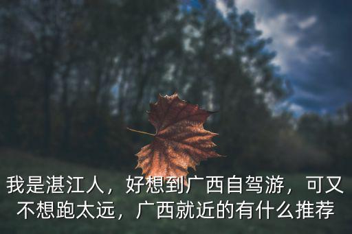 湛江到廣西藤縣多少公里,從廣東湛江到廣西距離多遠