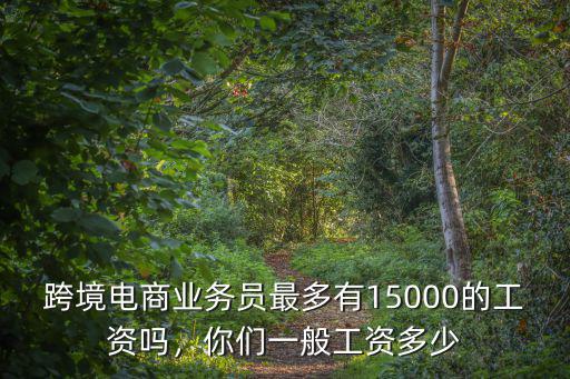 跨境電商業務員最多有15000的工資嗎，你們一般工資多少