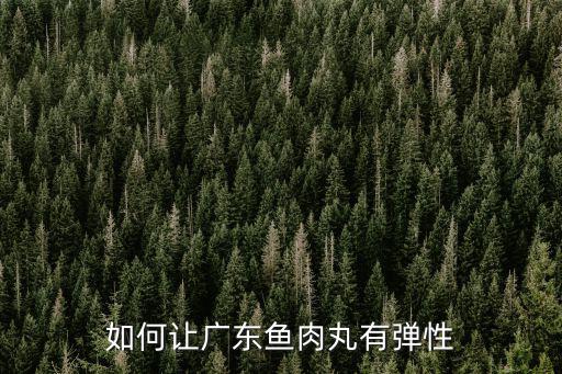 如何讓廣東魚肉丸有彈性