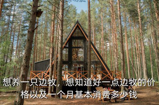 寧波的邊牧多少錢一只,想養一只邊牧