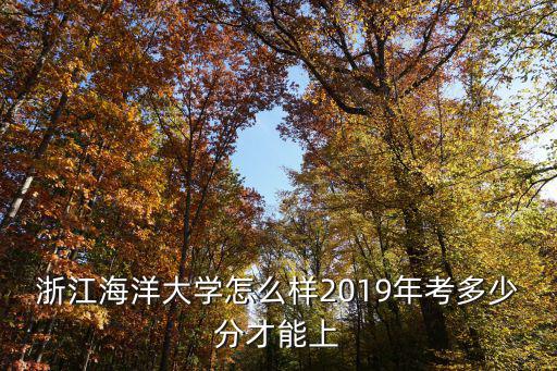2019浙江多少分能上公辦本科,2019年考多少分才能上