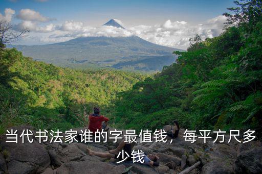 杭州書法家胡來賓多少錢一平尺,每平方尺多少錢