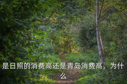 是日照的消費高還是青島消費高，為什么