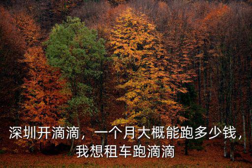 深圳開滴滴，一個月大概能跑多少錢，我想租車跑滴滴