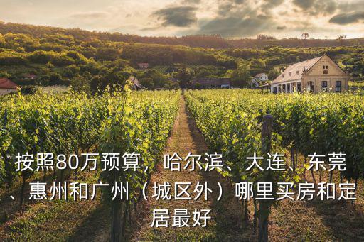 按照80萬預(yù)算，哈爾濱、大連、東莞、惠州和廣州（城區(qū)外）哪里買房和定居最好