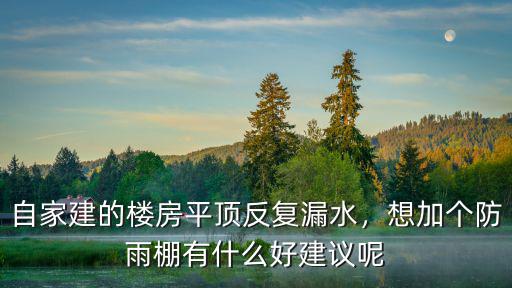 自家建的樓房平頂反復漏水，想加個防雨棚有什么好建議呢