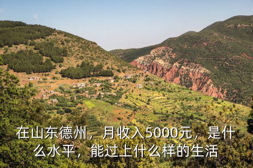 在山東德州，月收入5000元，是什么水平，能過上什么樣的生活