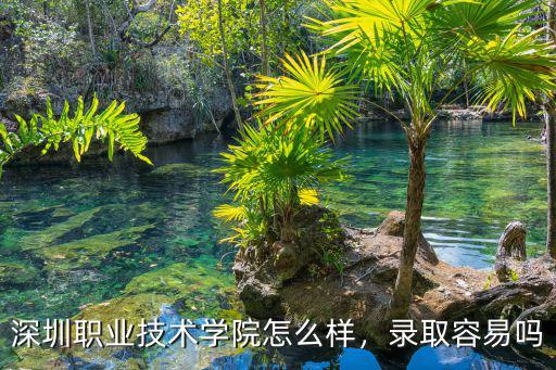 深圳博思德怎么樣,深圳職業技術學院怎么樣
