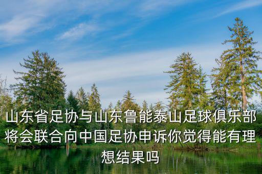 山東魯能足球俱樂部年薪有多少,那么俱樂部和足校能值多少錢