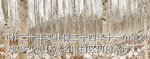 工作三十年買社保二十四年十一個能領取多少退休茂名電白區河角水庫工