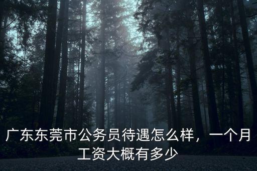 廣東東莞公務員有多少工資,廣東東莞市公務員待遇怎么樣
