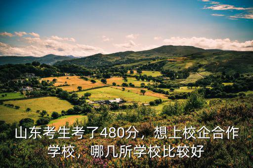 山東考生考了480分，想上校企合作學校，哪幾所學校比較好
