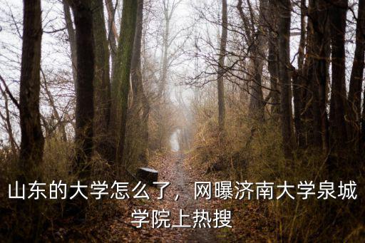 山東的大學(xué)怎么了，網(wǎng)曝濟(jì)南大學(xué)泉城學(xué)院上熱搜