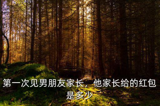 濟南第一次見家長給多少紅包,第一次見男朋友家長
