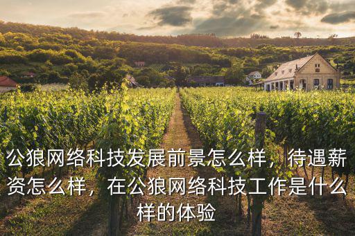 深圳賺得寶網絡科技怎么樣,公狼網絡科技發展前景怎么樣
