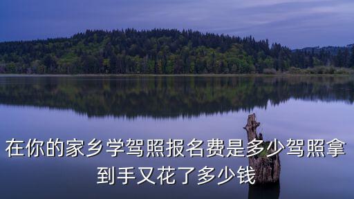湖州學c1駕照多少錢一個月,駕照拿到手又花了多少錢