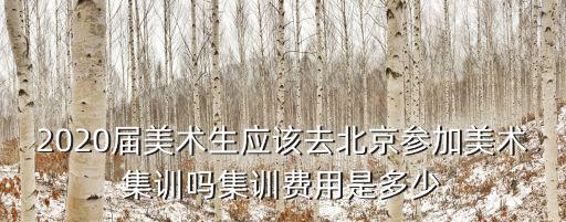 2020屆美術(shù)生應(yīng)該去北京參加美術(shù)集訓(xùn)嗎集訓(xùn)費(fèi)用是多少