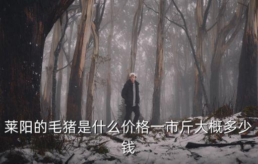 山東萊陽的豬肉多少錢,一市斤大概多少錢