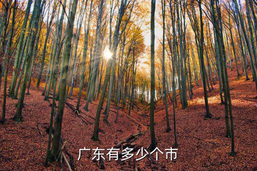 廣東有多少個市
