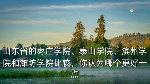 濱州學院2015級有多少學生,濱州學院和濰坊學院比較