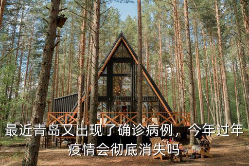 青島確認病例多少,青島輸入病例一事作出回應