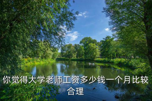 你覺得大學老師工資多少錢一個月比較合理