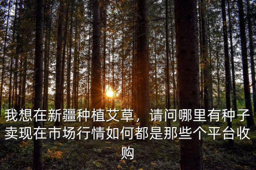 佛山哪里有大量收購艾草,廣西哪里收購艾草