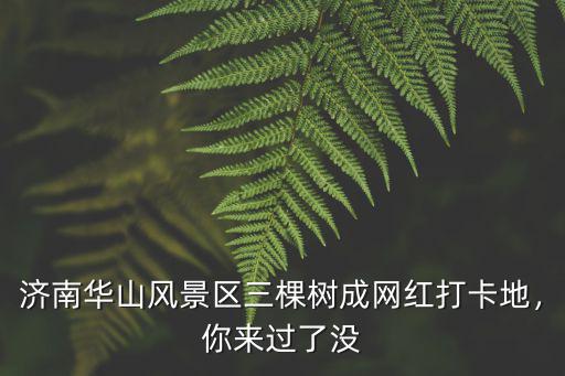 濟南華山湖蓄水是多少,濟南華山片區建設怎么樣