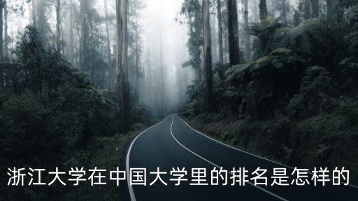 浙江大學(xué)廣東排名多少分,南京大學(xué)和浙江大學(xué)哪個更好