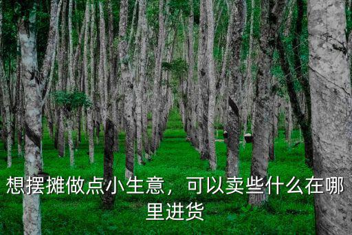擺攤周黑鴨在哪里進貨深圳,地攤都在哪里進貨