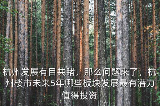 杭州發(fā)展有目共睹，那么問題來了，杭州樓市未來5年哪些板塊發(fā)展最有潛力值得投資
