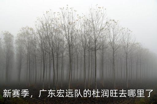 新賽季，廣東宏遠隊的杜潤旺去哪里了