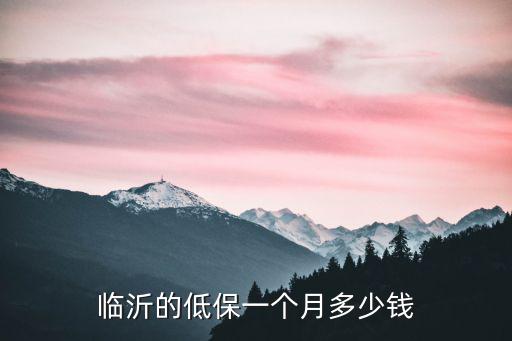 臨沂低保戶每個月多少錢,臨沂的低保一個月多少錢