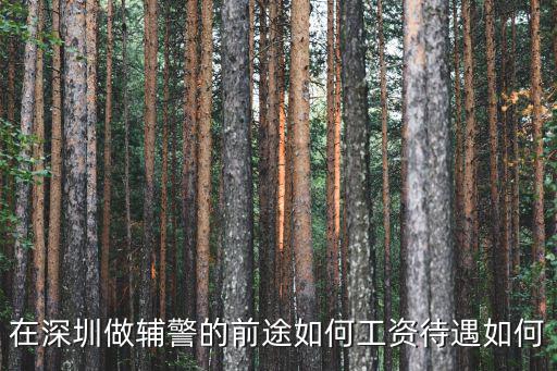 深圳輔警帽子是怎么樣的,在深圳做輔警的前途如何