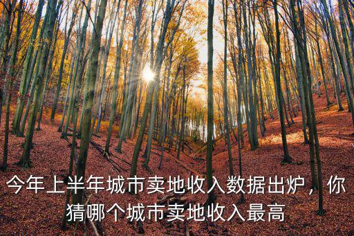 今年上半年城市賣地收入數據出爐，你猜哪個城市賣地收入最高