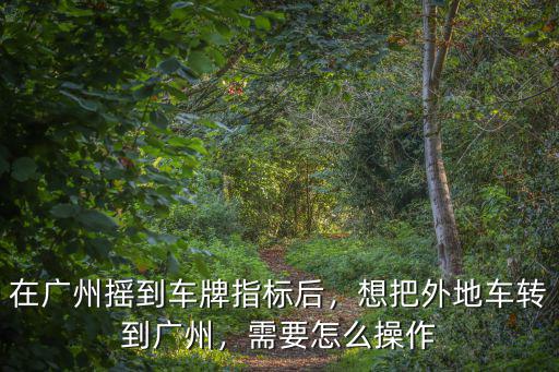 怎么搖廣州指標,在廣州搖到車牌指標后