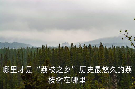 荔枝之鄉廣東哪里,哪里才是荔枝之鄉