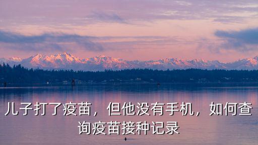 怎么查詢疫苗接種記錄深圳,如何查詢疫苗接種記錄