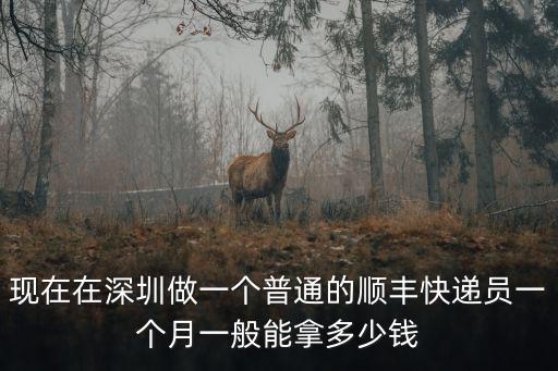 現(xiàn)在在深圳做一個普通的順豐快遞員一個月一般能拿多少錢
