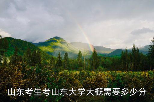 山東考生考山東大學大概需要多少分