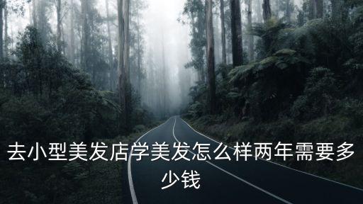 去小型美發(fā)店學(xué)美發(fā)怎么樣兩年需要多少錢