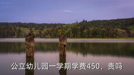 公立幼兒園一學期學費450，貴嗎