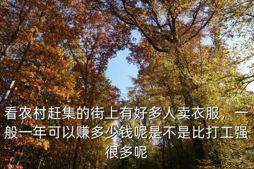 看農村趕集的街上有好多人賣衣服，一般一年可以賺多少錢呢是不是比打工強很多呢