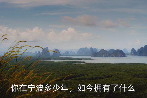 你在寧波多少年，如今擁有了什么