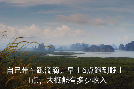 泰安市大約有多少車在跑滴滴,大概能有多少收入